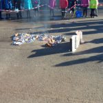 sam_4146-2