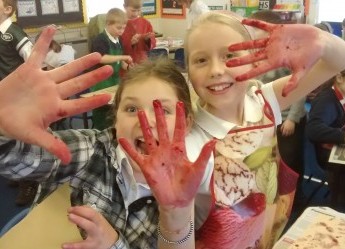 very berry nice hands!!!